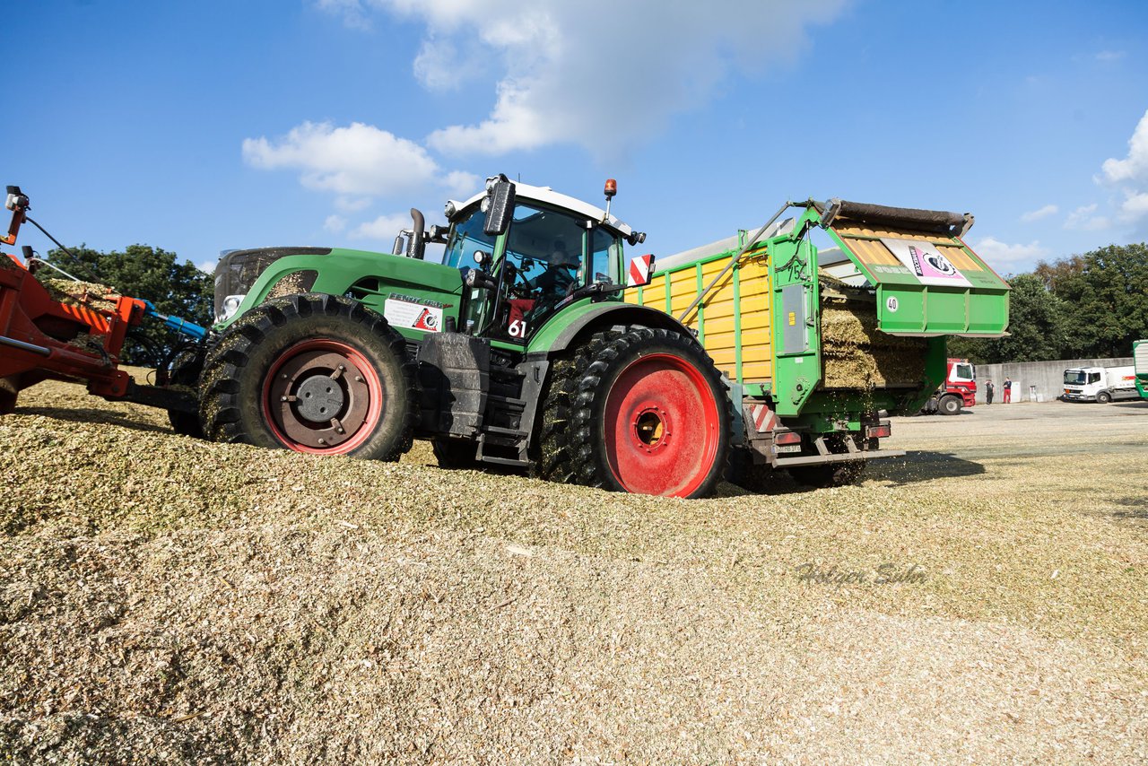 Bild 144 - Maisernte